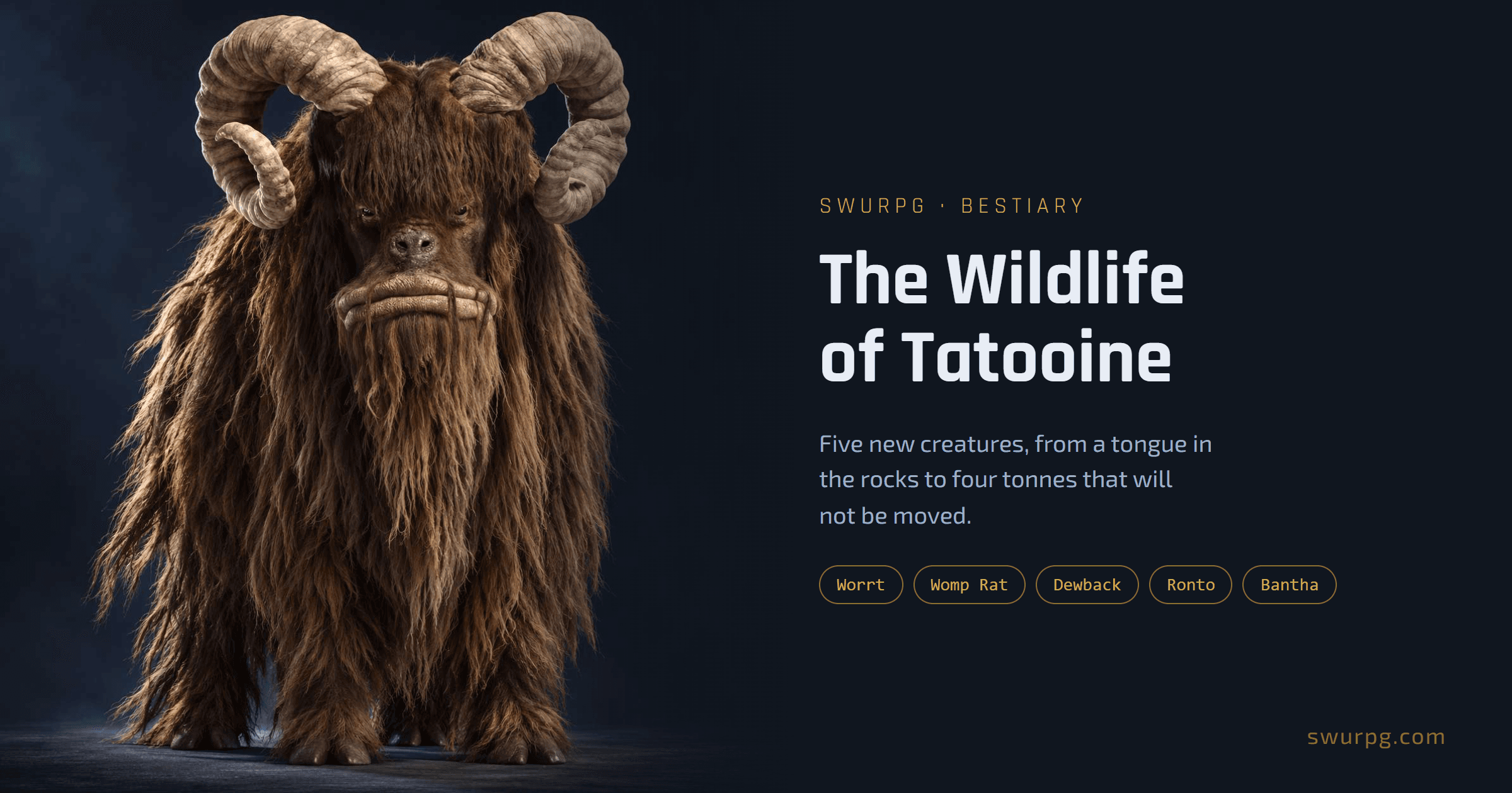 Cover image for The Wildlife of Tatooine