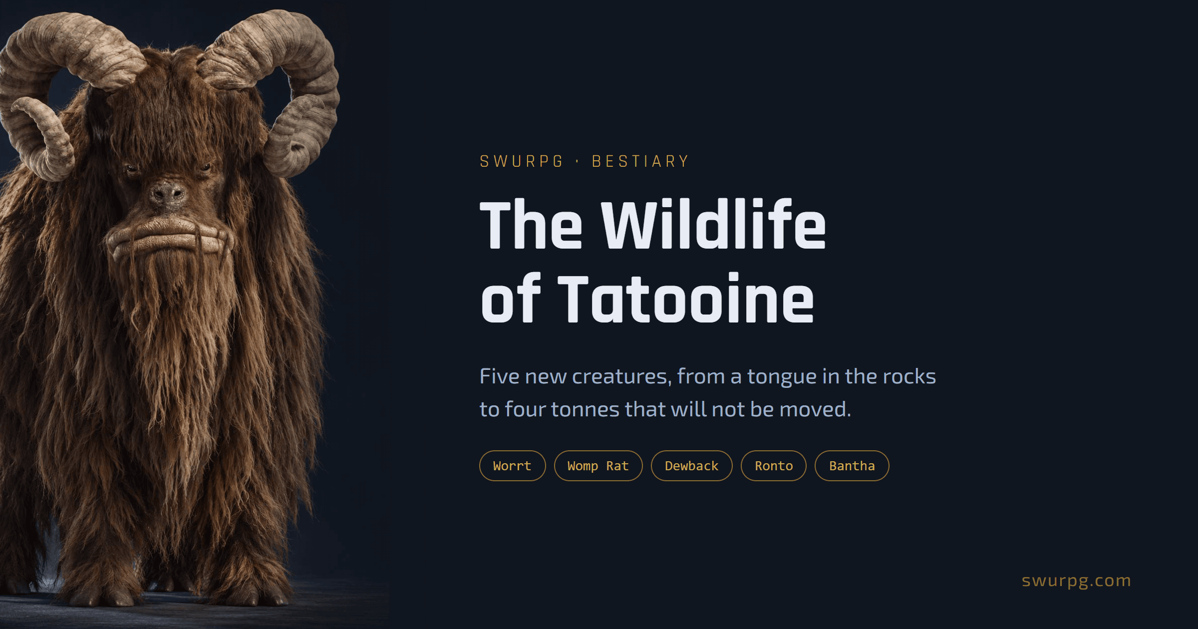 Cover image for The Wildlife of Tatooine