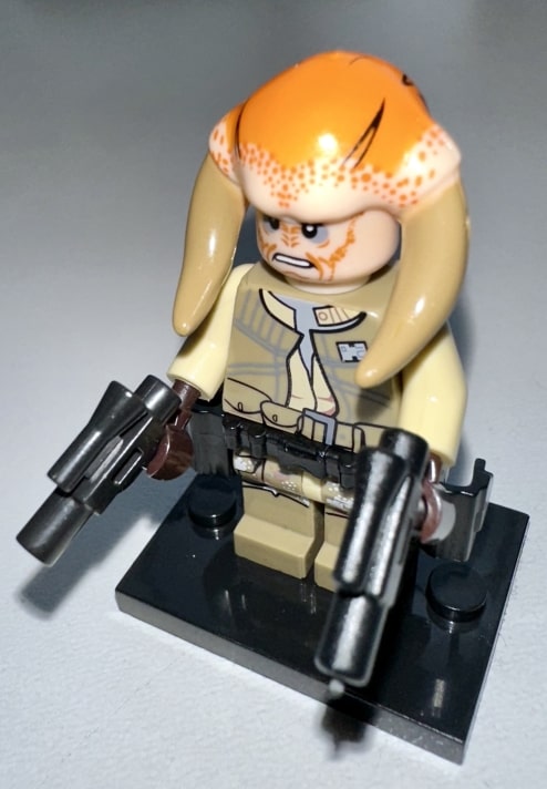 Iktotchi bounty hunter dual weilding blaster pistols.